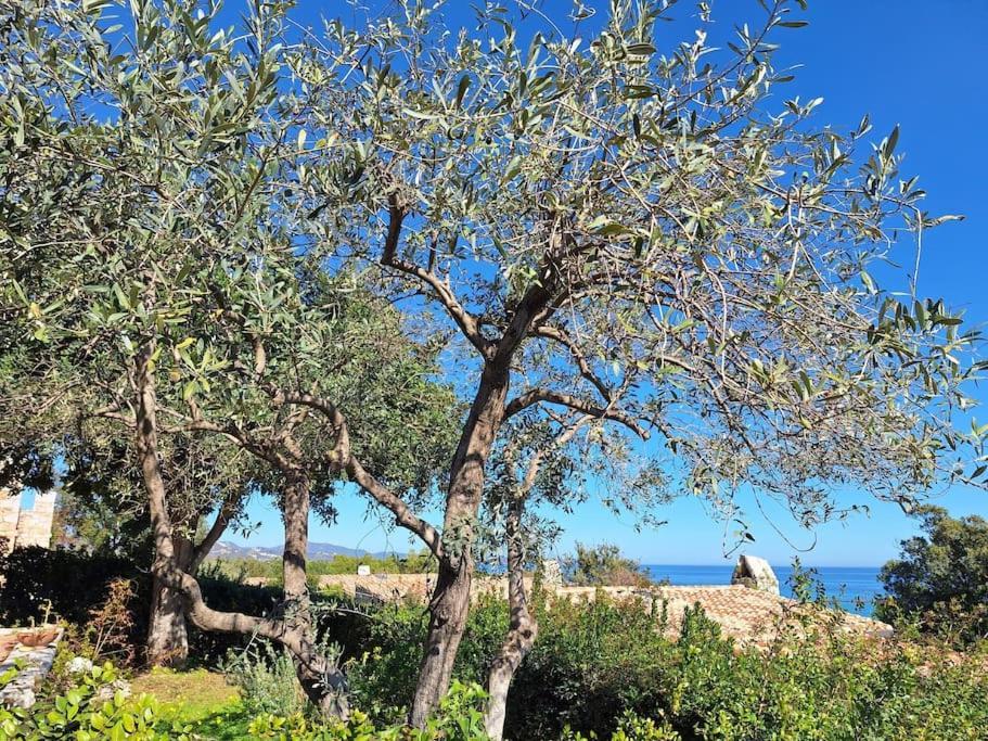 Sant'elmo Vista Mare 200m Dalla Holiday home