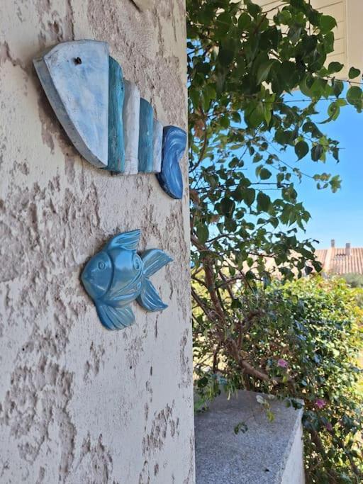 Sant'elmo Vista Mare 200m Dalla Holiday home *
